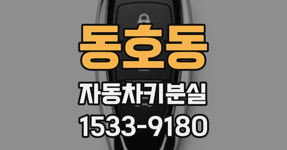 동호동 자동차키분실