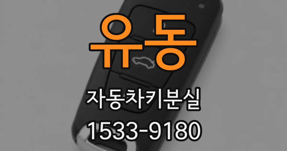 유동 자동차키분실