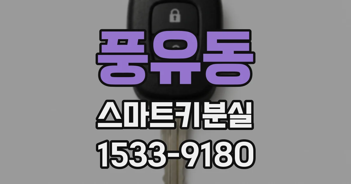 풍유동 스마트키분실
