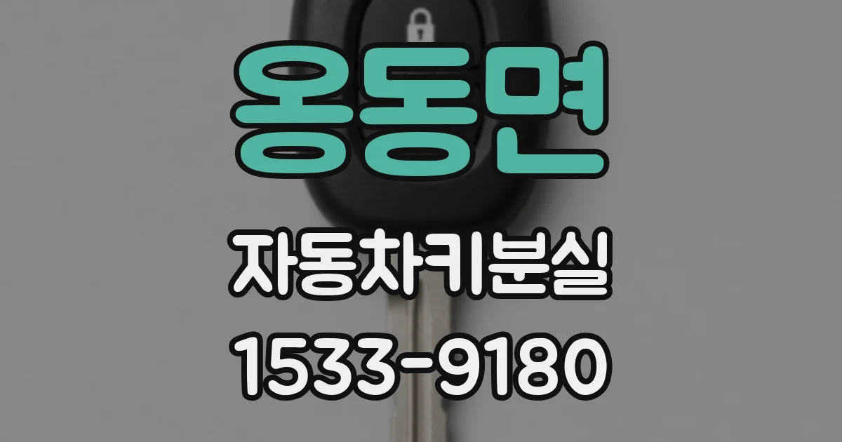 옹동면 자동차키분실