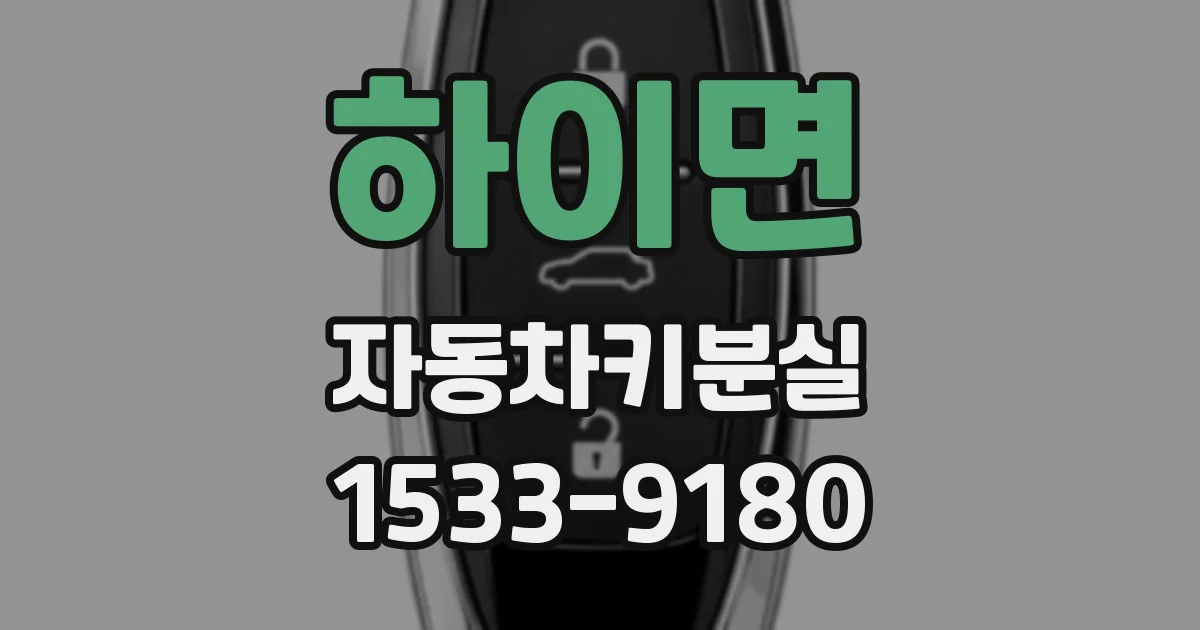 하이면 자동차키분실
