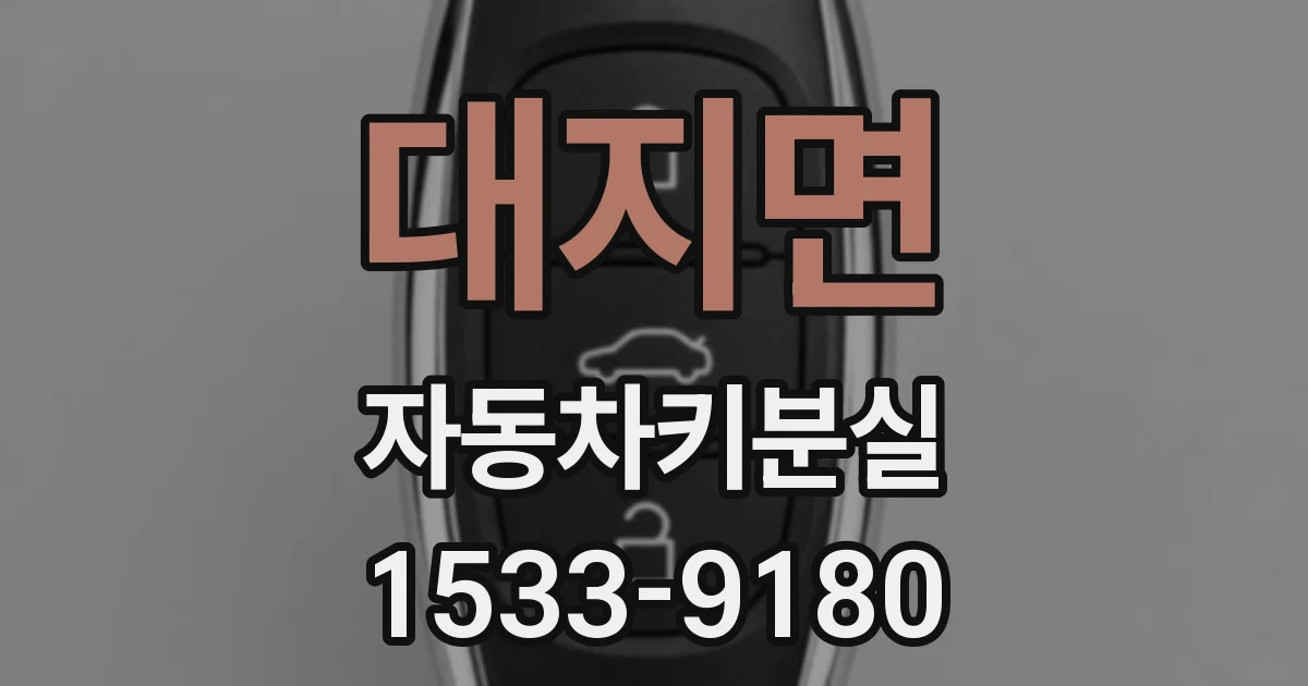 대지면 자동차키분실