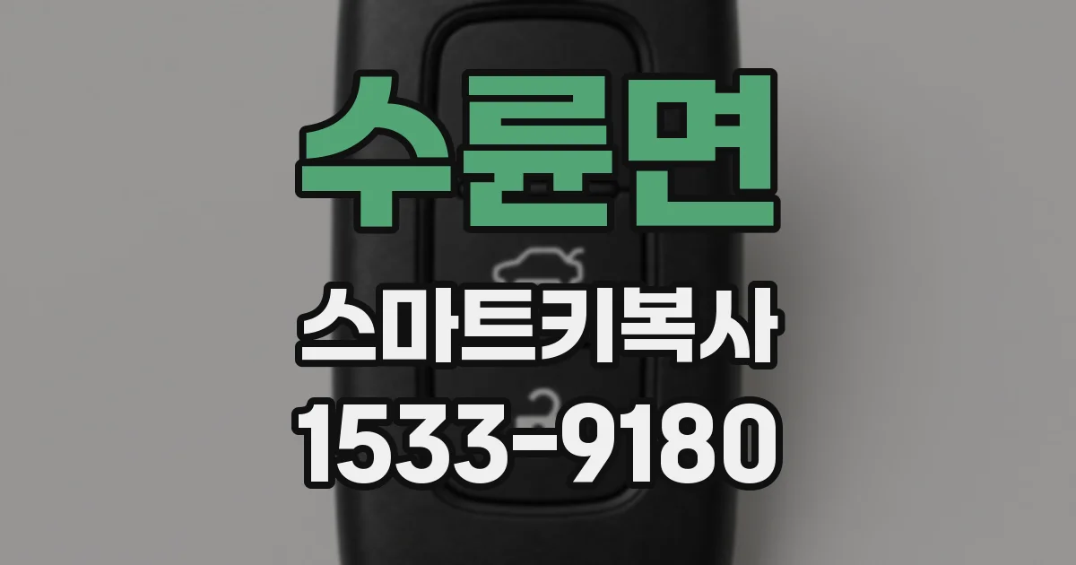 수륜면 스마트키복사