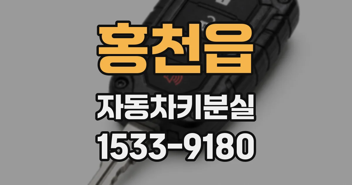 홍천읍 자동차키분실