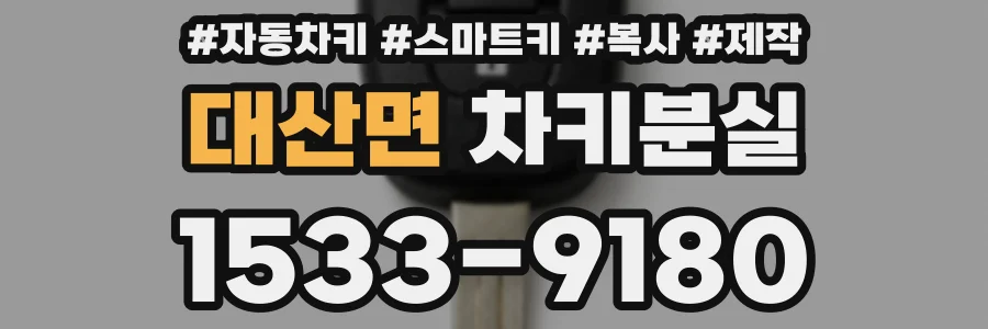 대산면 차키분실