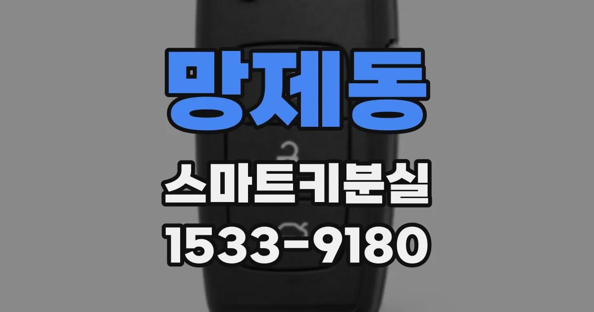 망제동 스마트키분실