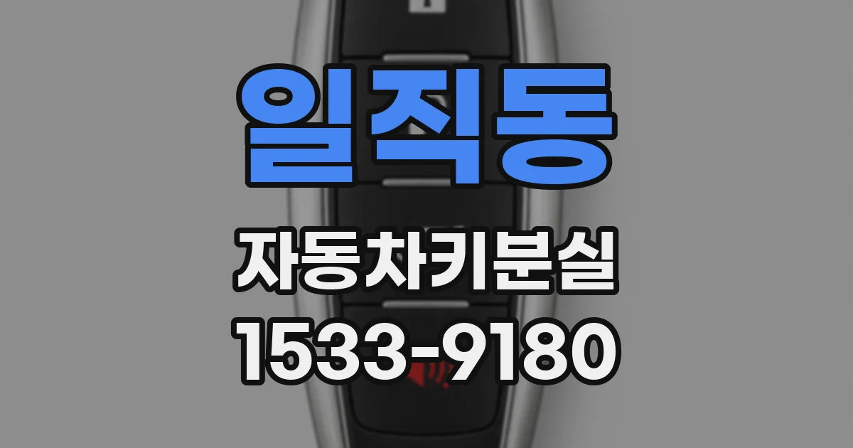 일직동 자동차키분실