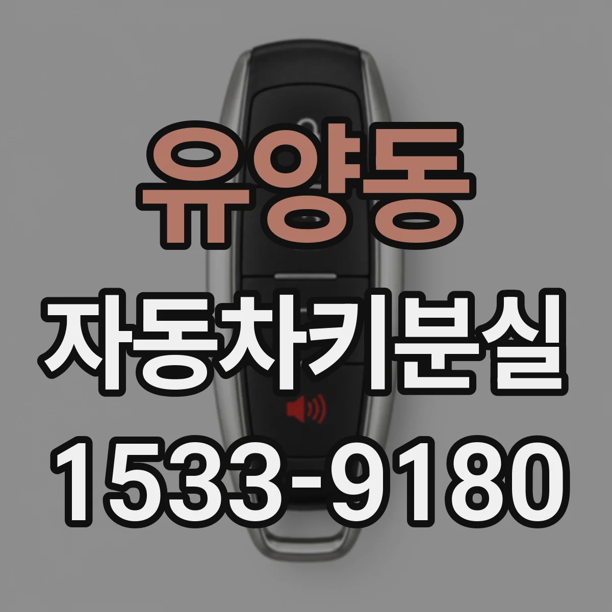 유양동 자동차키분실