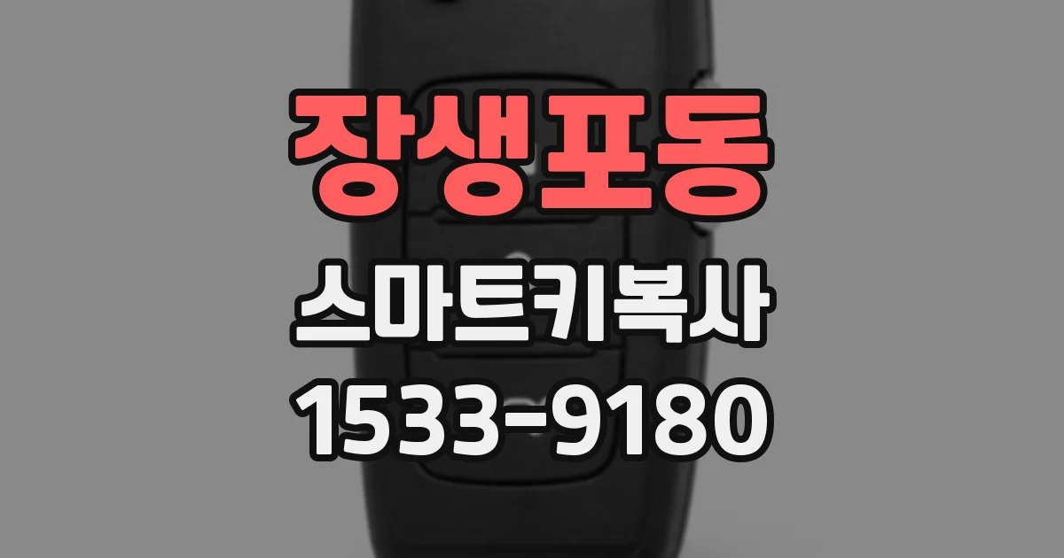 장생포동 스마트키복사