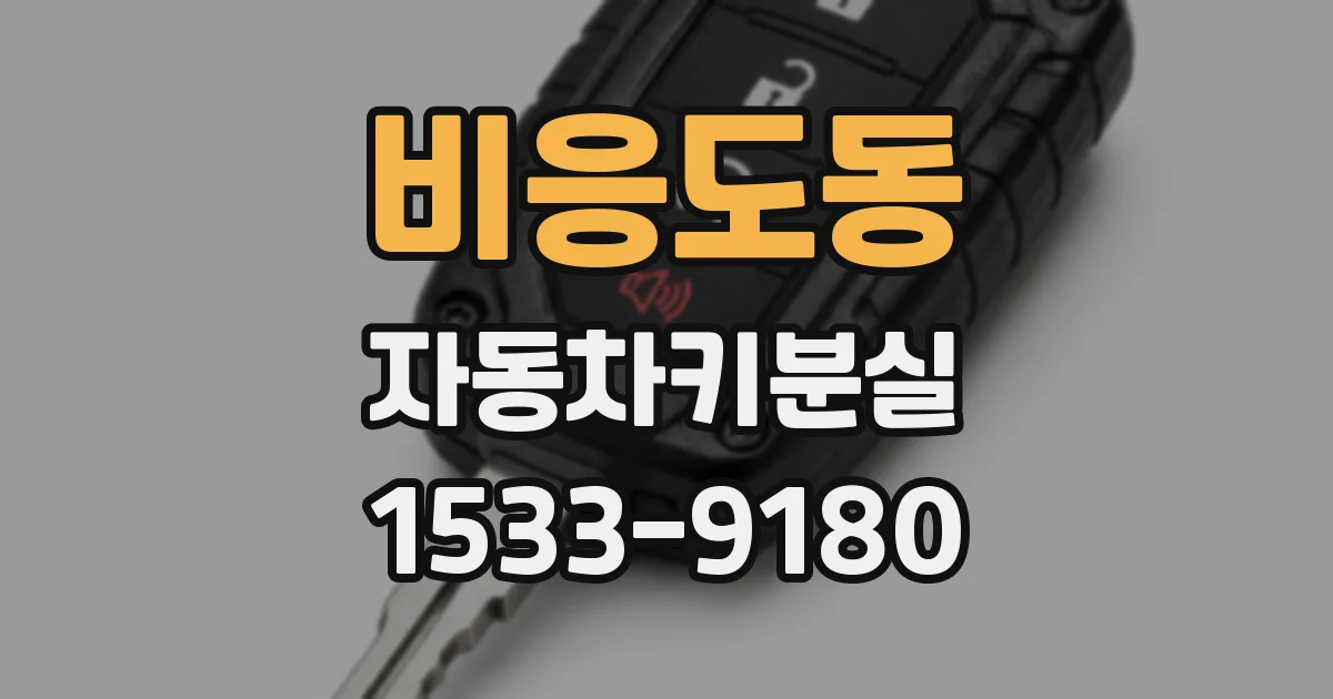 비응도동 자동차키분실