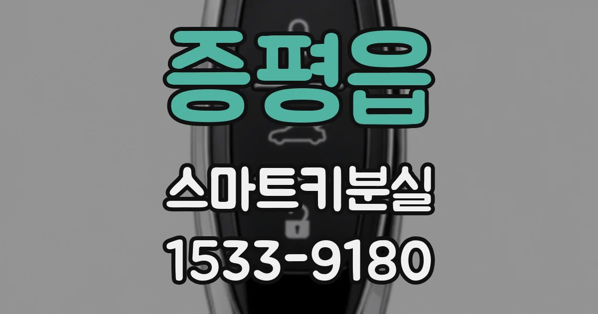 증평읍 스마트키분실