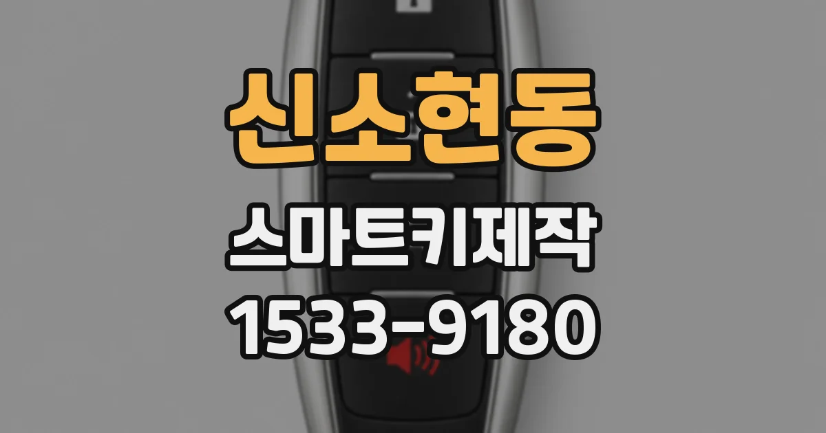 신소현동 스마트키제작