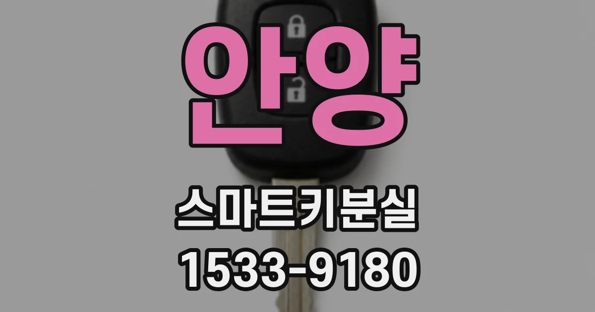 안양 스마트키분실