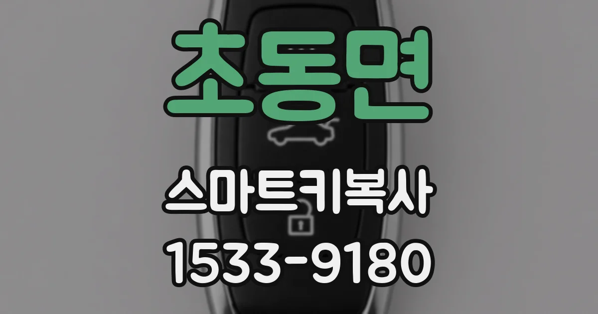 초동면 스마트키복사