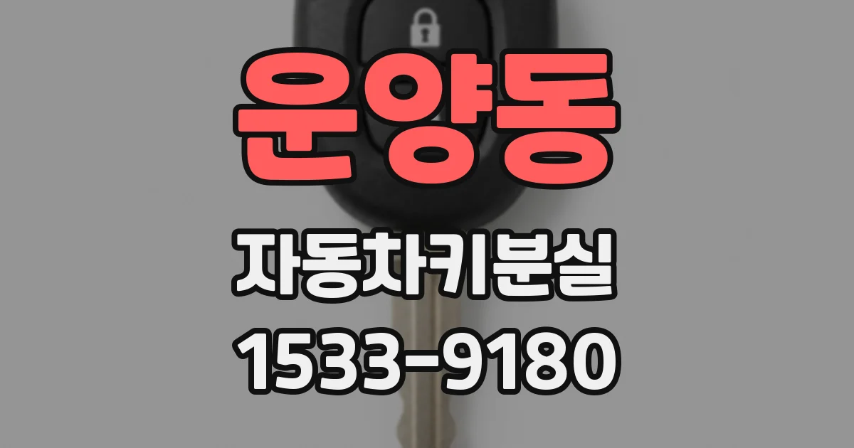 운양동 자동차키분실