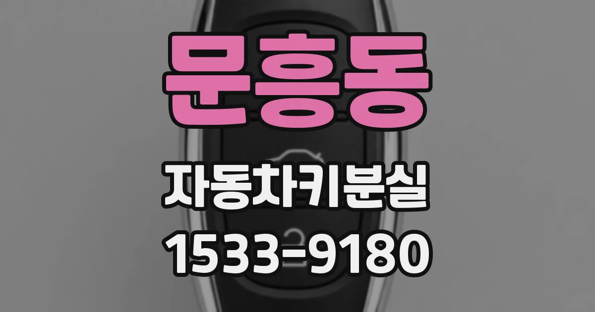 문흥동 자동차키분실
