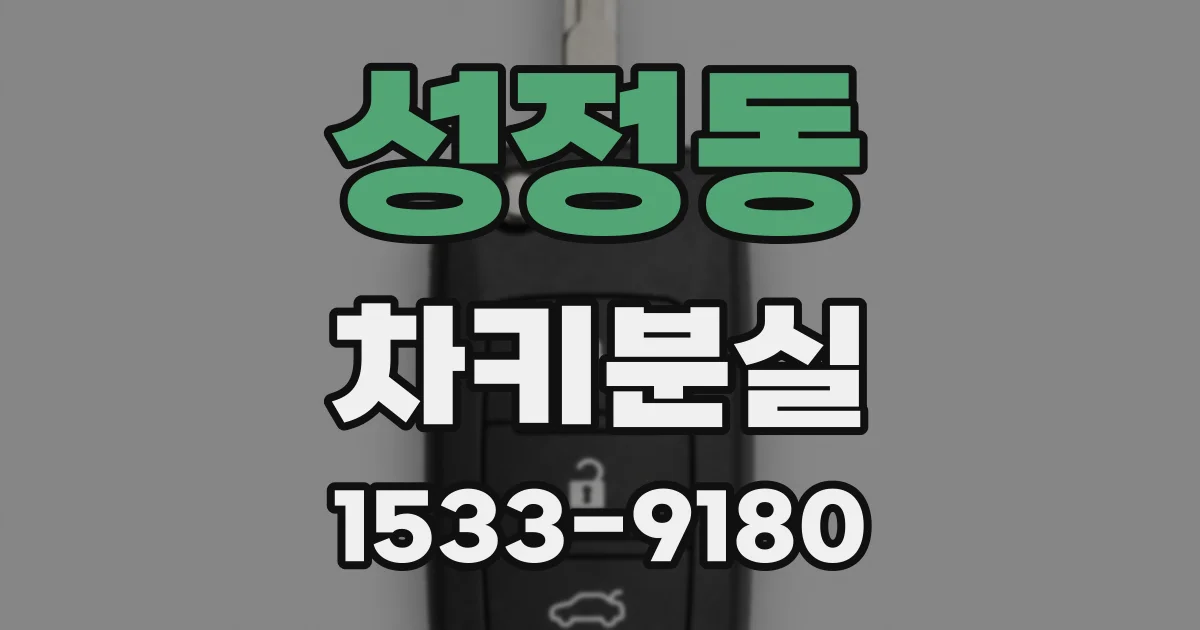 성정동 차키분실