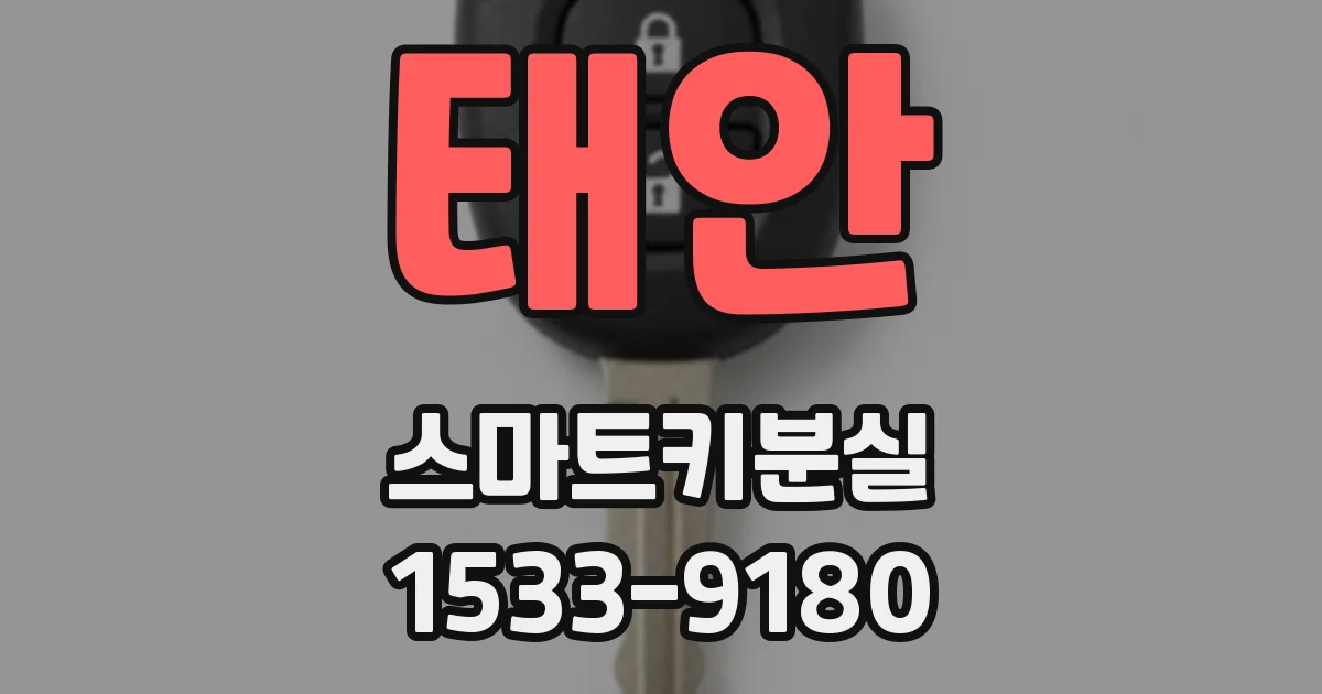 태안 스마트키분실
