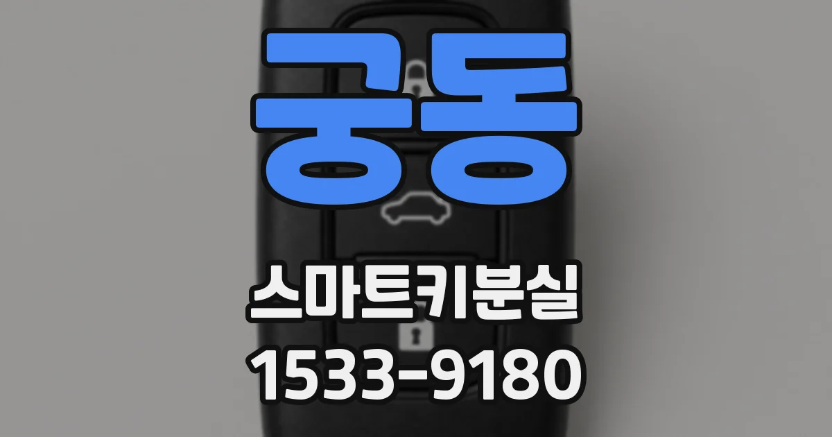 궁동 스마트키분실