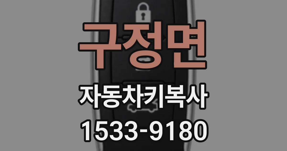구정면 자동차키복사