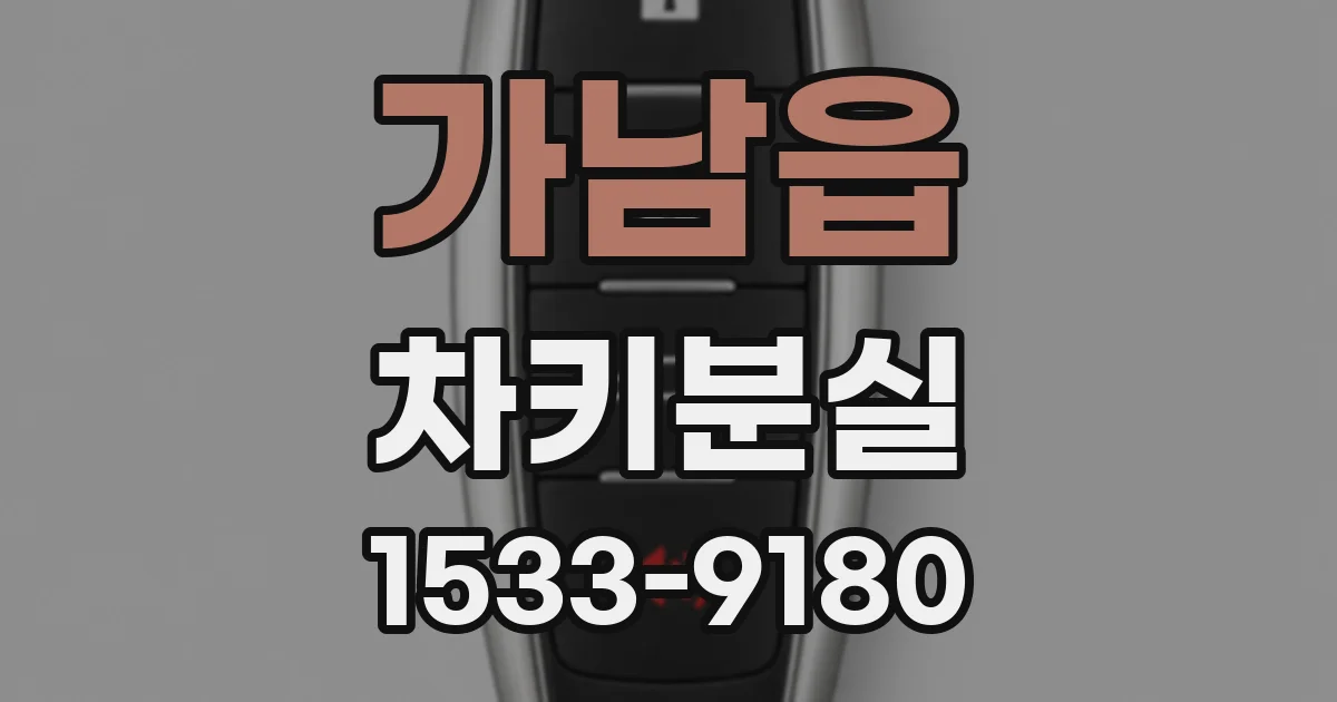 가남읍 차키분실
