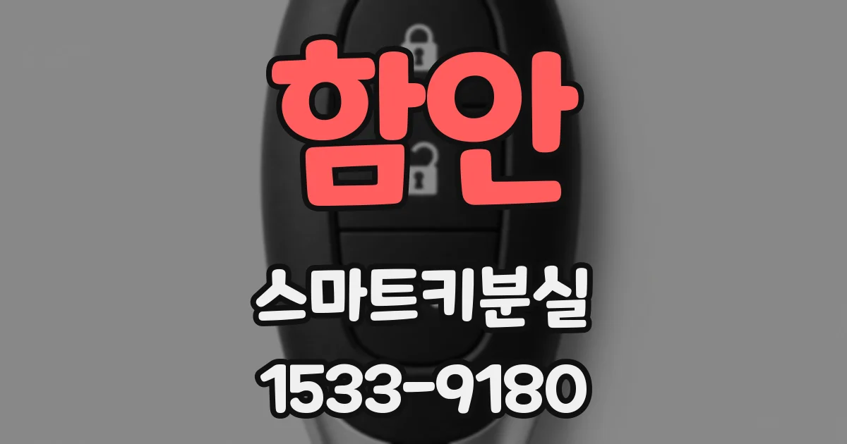 함안 스마트키분실