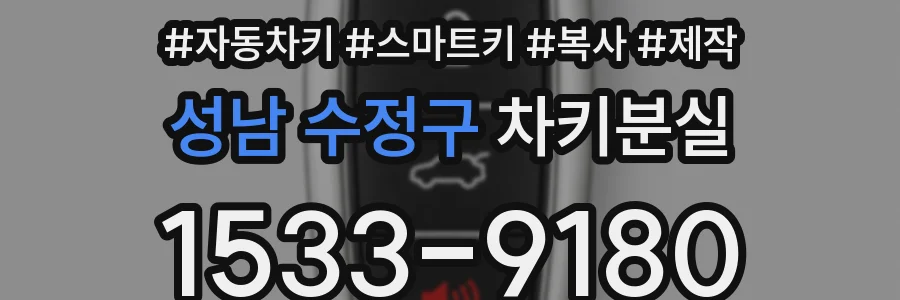 성남 수정구 차키분실
