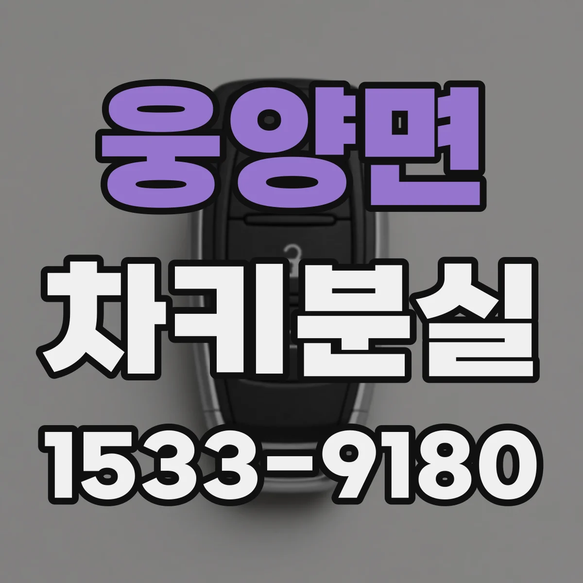 웅양면 차키분실