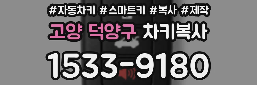 고양 덕양구 차키복사
