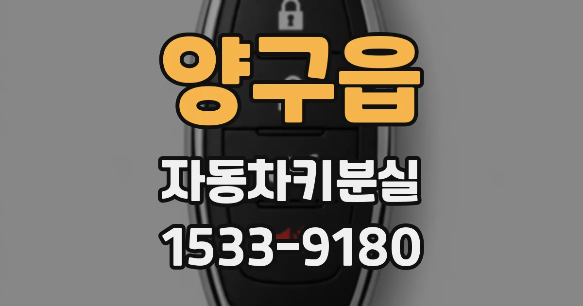 양구읍 자동차키분실