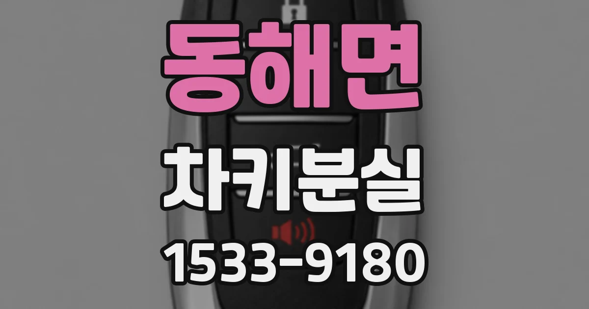 동해면 차키분실