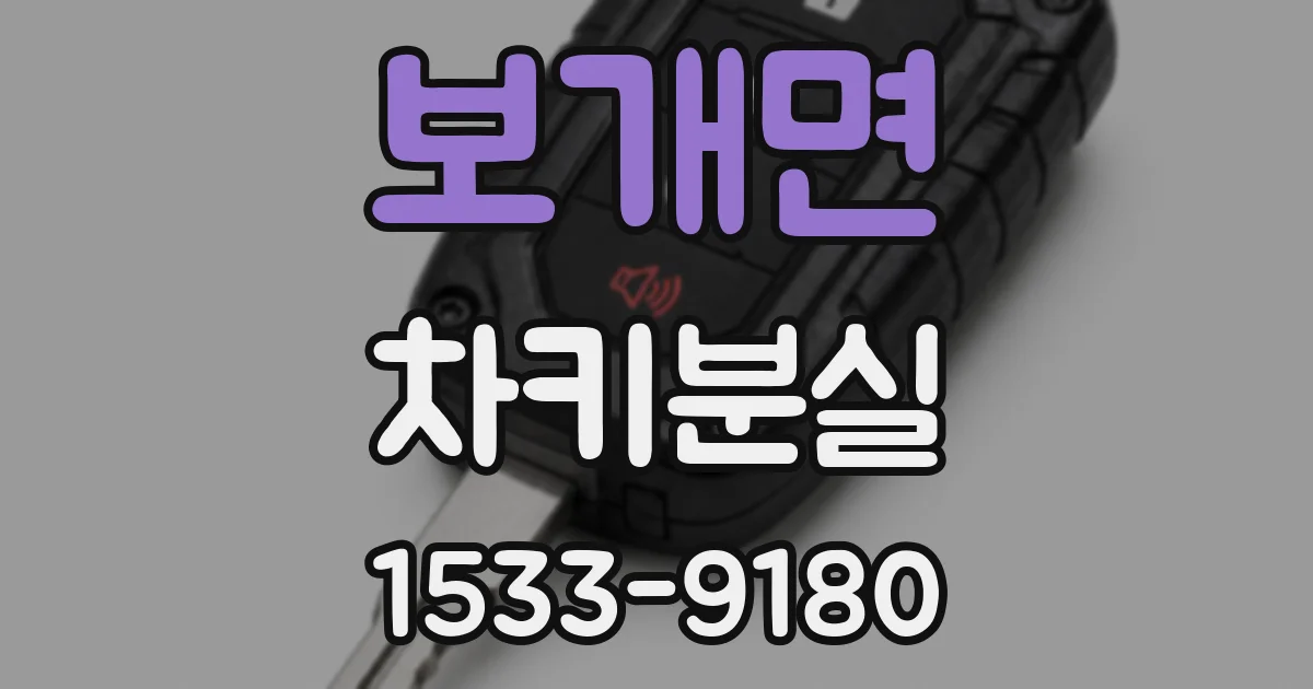 보개면 차키분실