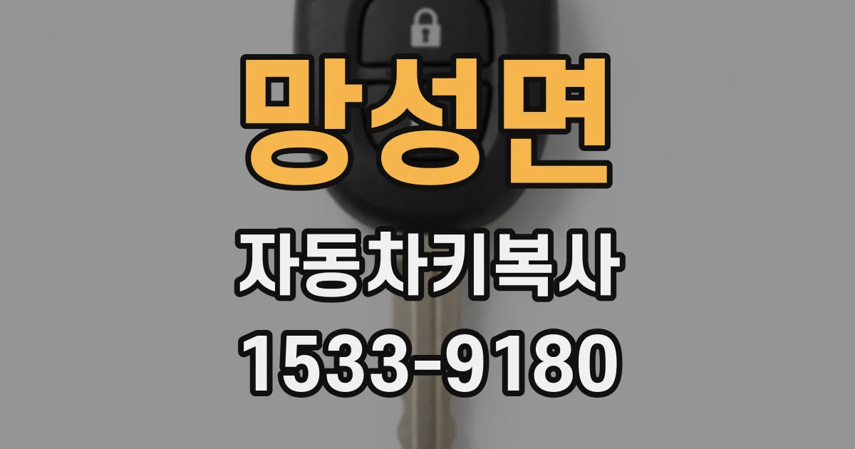 망성면 자동차키복사