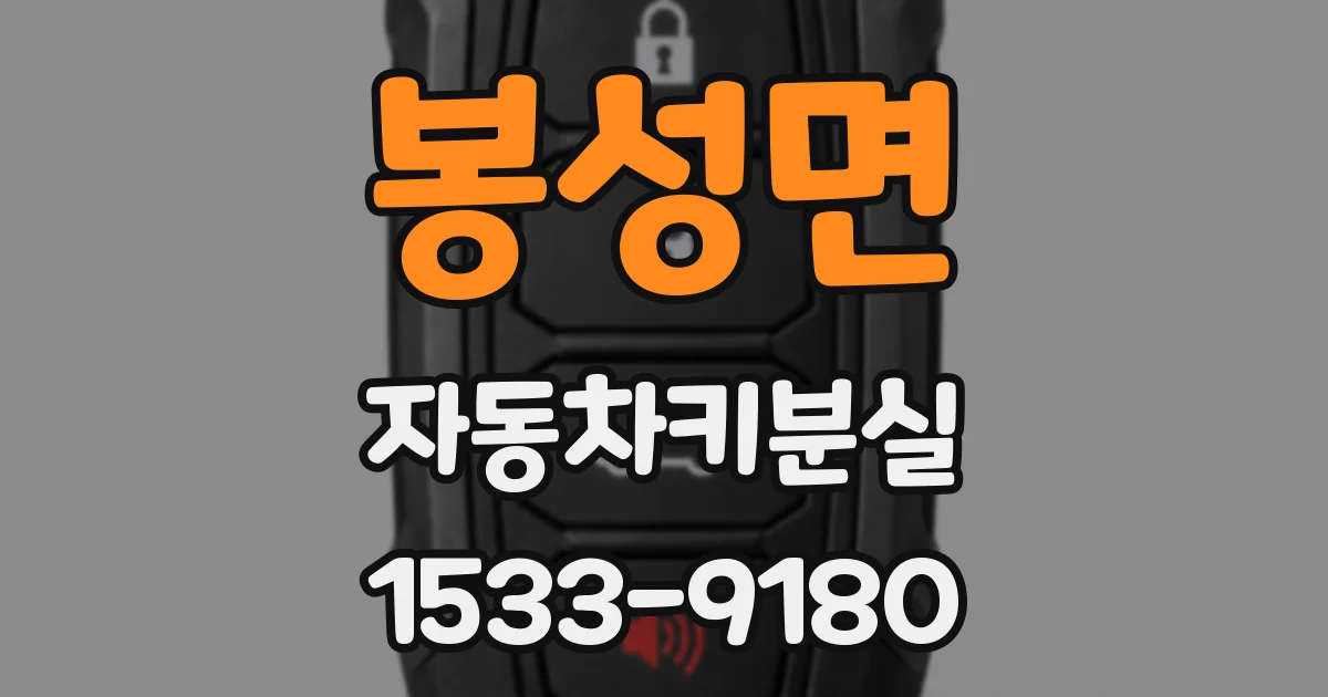 봉성면 자동차키분실