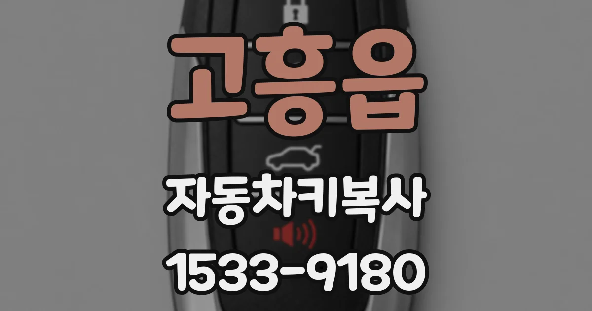 고흥읍 자동차키복사
