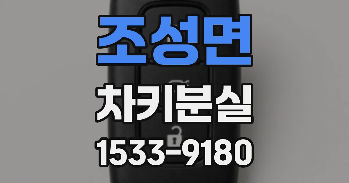 조성면 차키분실