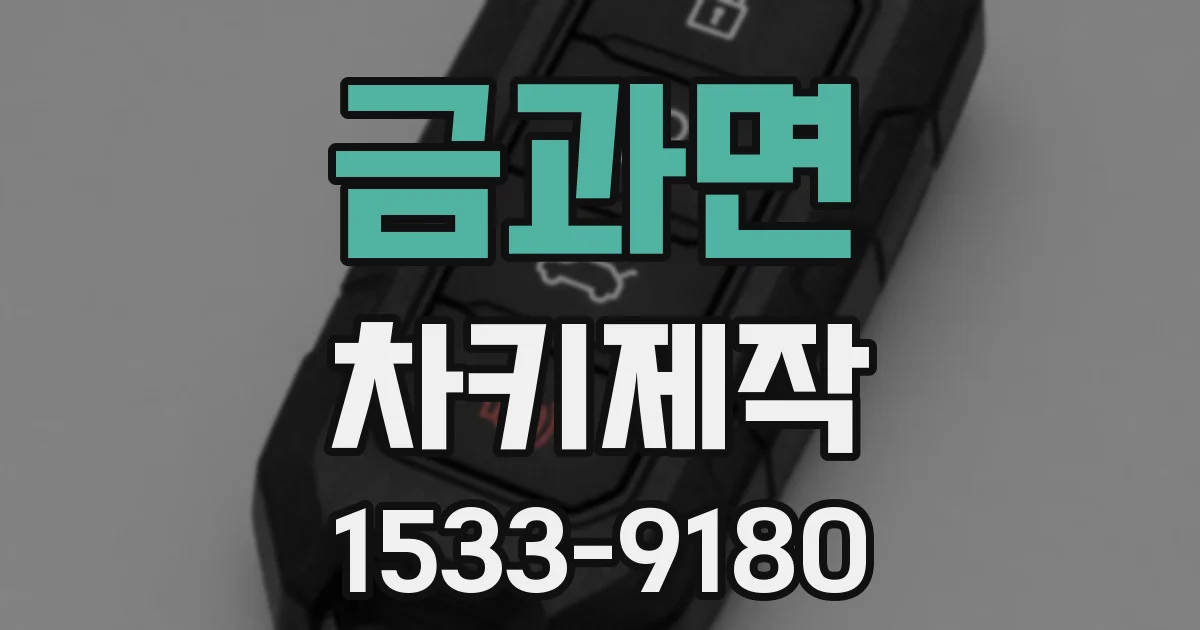 금과면 차키제작