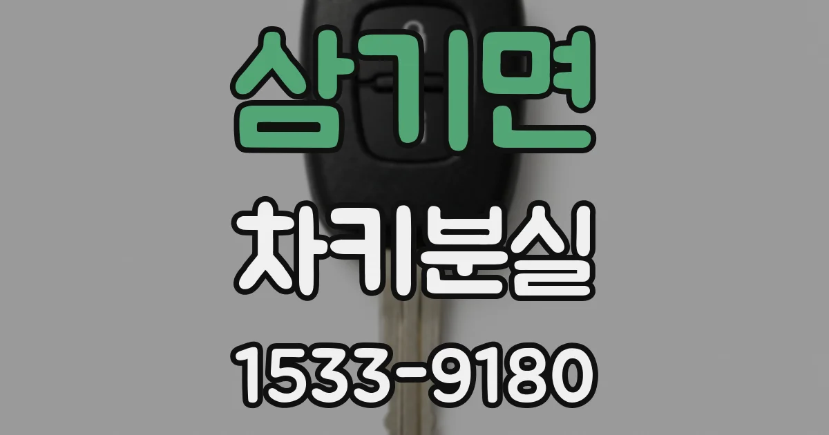 삼기면 차키분실