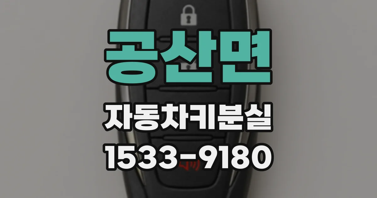 공산면 자동차키분실