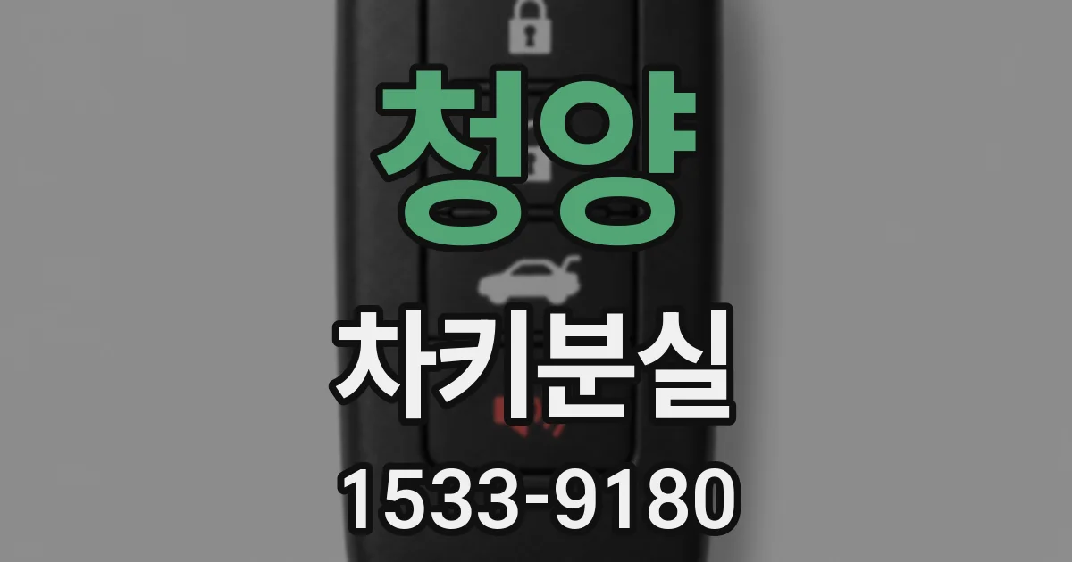 청양 차키분실