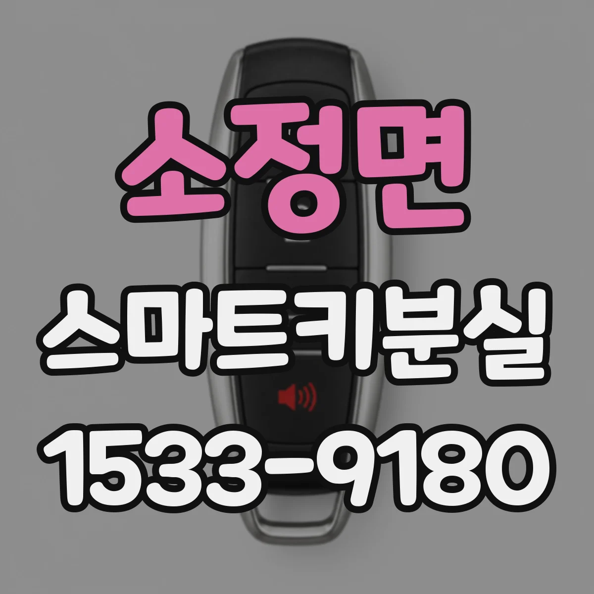 소정면 스마트키분실