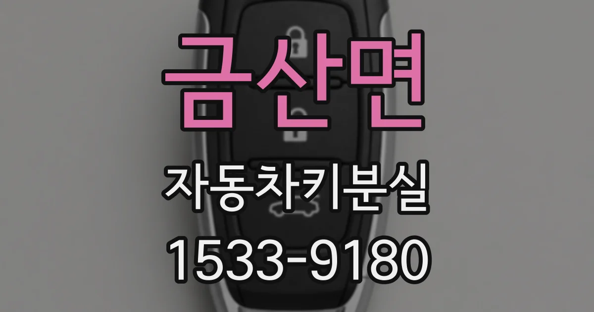 금산면 자동차키분실