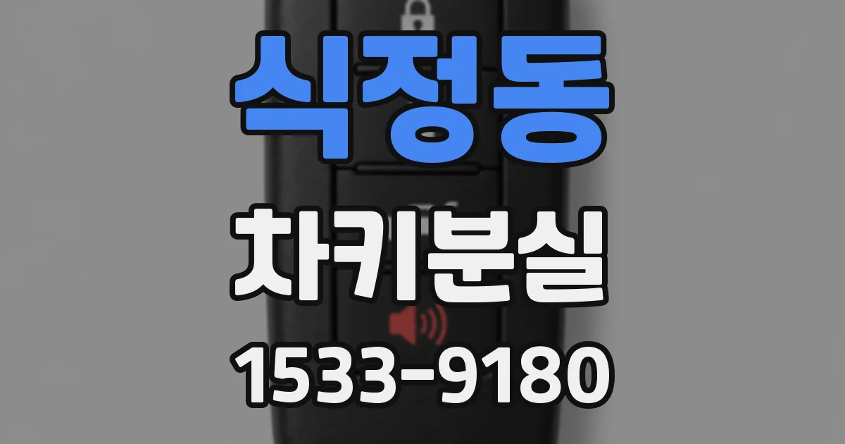 식정동 차키분실
