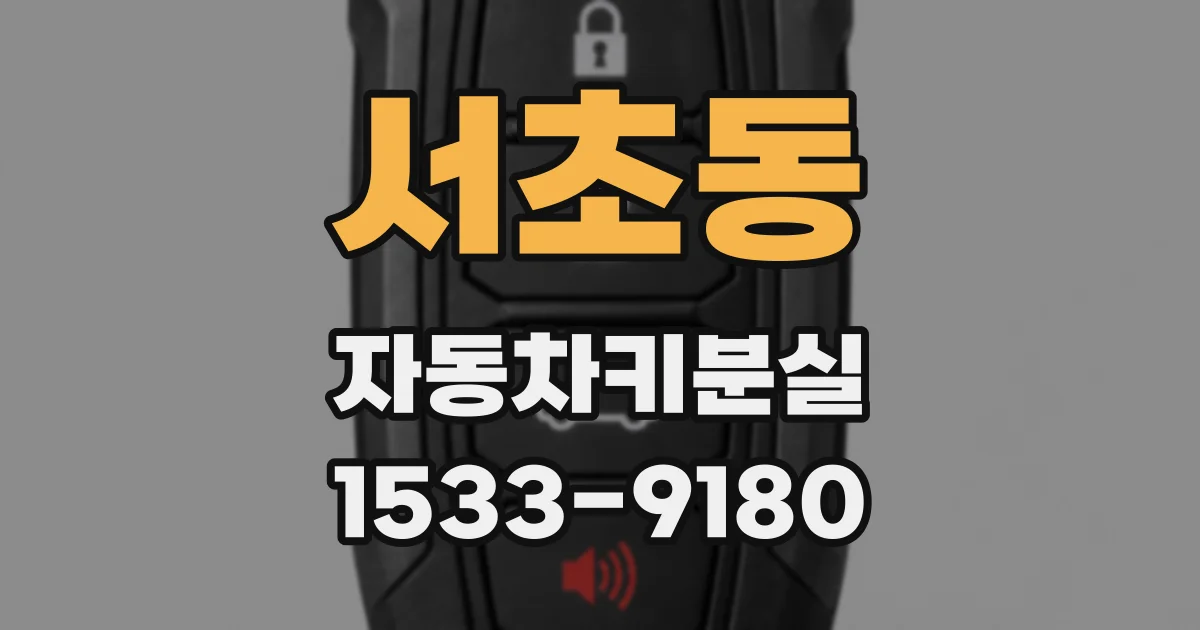 서초동 자동차키분실