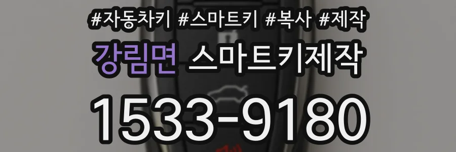 강림면 스마트키제작