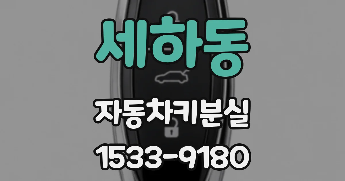 세하동 자동차키분실