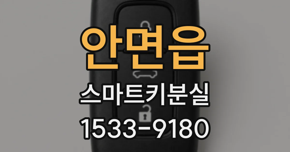 안면읍 스마트키분실