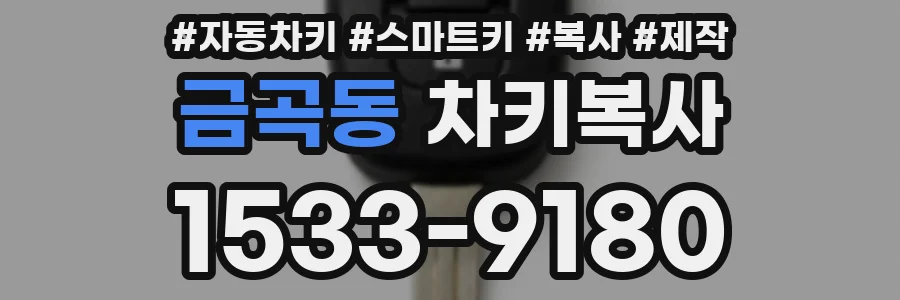 금곡동 차키복사
