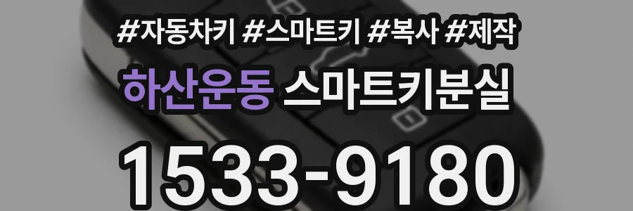 하산운동 스마트키분실
