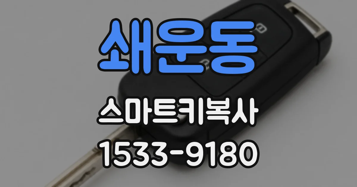쇄운동 스마트키복사